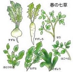 春の七草　Seven spring herbs